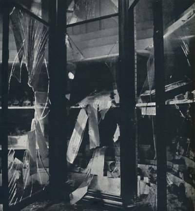 Vetrine nel Museo di Storia Naturale, 1941 da Cecil Beaton