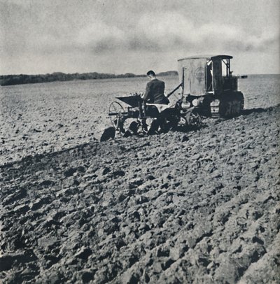 La terra preparata da Cecil Beaton