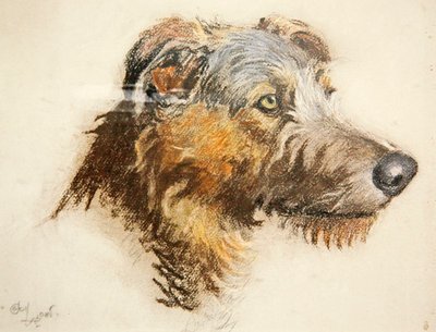 Levriero scozzese da Cecil Charles Windsor Aldin