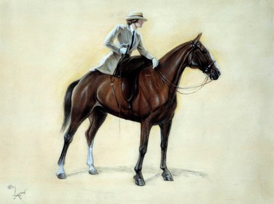 Un elegante cavaliere che sale su un