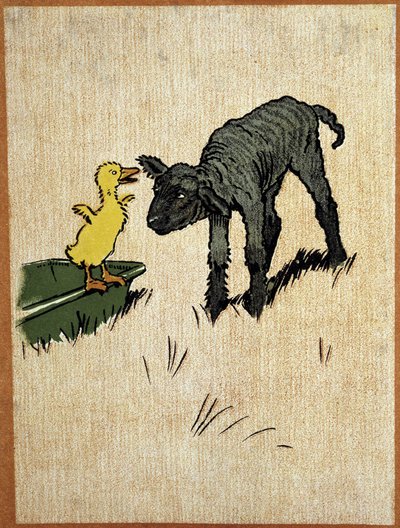 Agnello nero e anatroccolo - disegno di Aldin da Cecil Charles Windsor Aldin