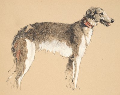 Borzoi, 1930, Illustrazioni dal suo Sketch Book usate per Just Among Friends, pubblicato successivamente da Eyre e Spottiswoode Limited, 1934 da Cecil Charles Windsor Aldin