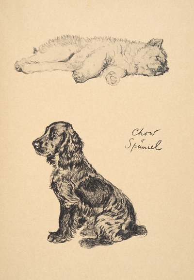 Chow e Spaniel, 1930, illustrazioni dal suo libro di schizzi usato per 