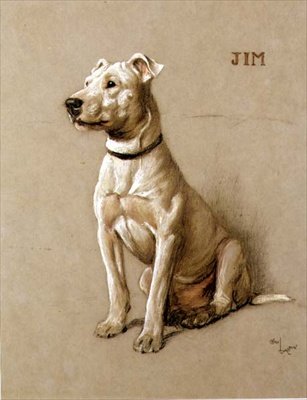 Jim, un Bull Terrier da Cecil Charles Windsor Aldin