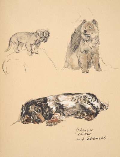 Pekinese, Chow e Spaniel, 1930, Illustrazioni dal suo Sketch Book usato per Just Among Friends, Aldin, Cecil Charles Windsor (1870-1935), successivamente pubblicato da Eyre and Spottiswoode Limited, 1934 da Cecil Charles Windsor Aldin