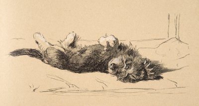 Cucciolo di Bassotto Ruvido (dettaglio), 1930, Illustrazioni dal suo Sketch Book usato per Just Among Friends, Aldin, Cecil Charles Windsor (1870-1935), successivamente pubblicato da Eyre and Spottiswoode Limited, 1934 da Cecil Charles Windsor Aldin