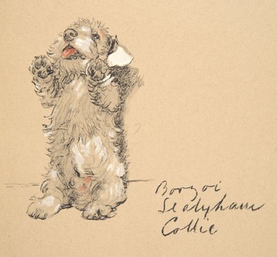 Sealyham, 1930, Illustrazioni dal suo Sketch Book usate per Just Among Friends, pubblicato successivamente da Eyre e Spottiswoode Limited, 1934 da Cecil Charles Windsor Aldin