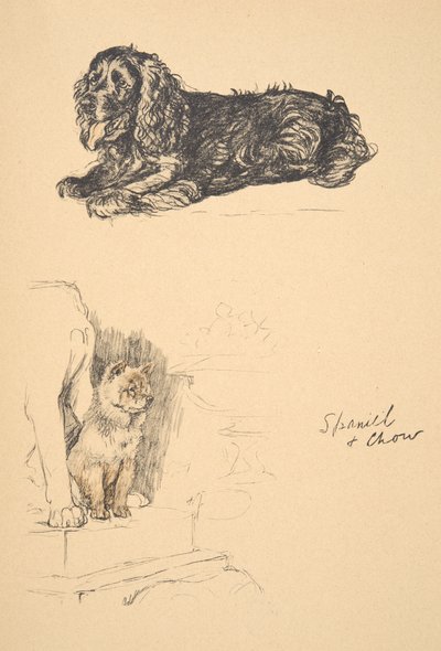 Spaniel e Chow, 1930, Illustrazioni dal suo Sketch Book usato per Just Among Friends, Aldin, Cecil Charles Windsor (1870-1935), successivamente pubblicato da Eyre and Spottiswoode Limited, 1934 da Cecil Charles Windsor Aldin