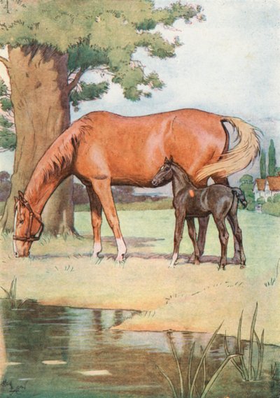 Il Primo Posto che Ricordo Bene, era un Grande Piacevole Prato con uno Stagno di Acqua Chiara da Cecil Charles Windsor Aldin