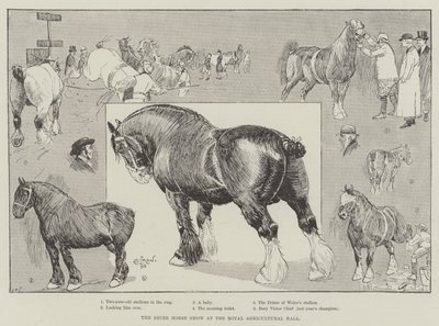 La Mostra del Cavallo Shire alla Royal Agricultural Hall da Cecil Charles Windsor Aldin