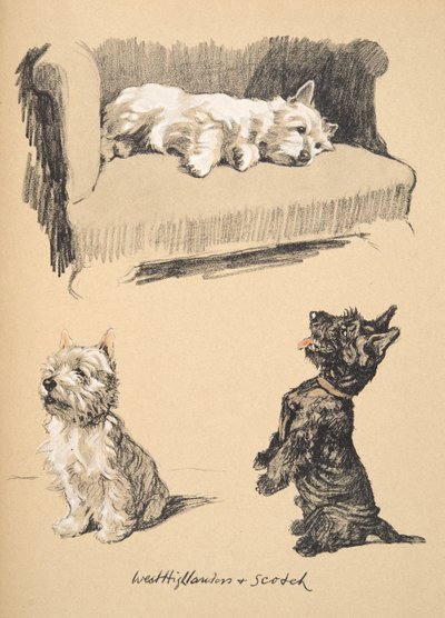 West Highlanders e Scotch, 1930, Illustrazioni dal suo Sketch Book usate per Just Among Friends, pubblicato successivamente da Eyre e Spottiswoode Limited, 1934 da Cecil Charles Windsor Aldin