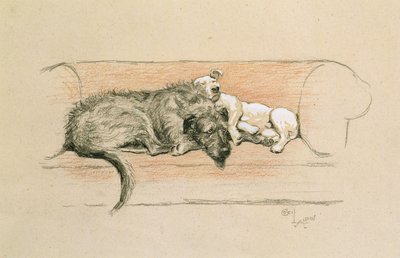 Levriero e bull terrier che dormono su un divano da Cecil Charles Windsor Aldin