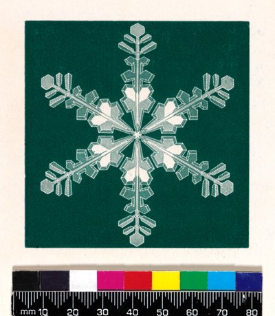 Cristalli di neve da Cecilia Glaisher
