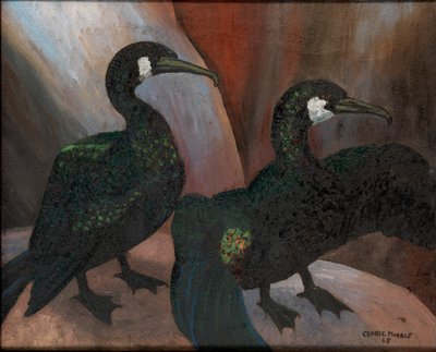 Cormorani Verdi da Cedric Morris