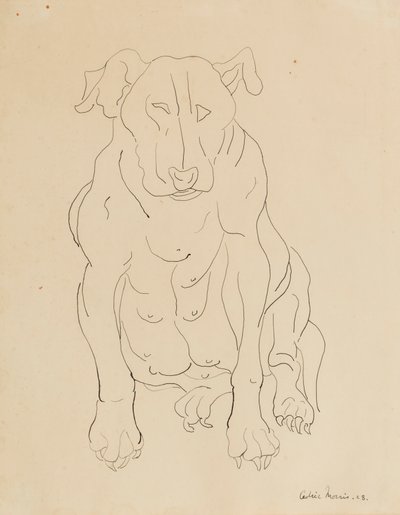 Il bulldog di Nancy Morris da Cedric Morris
