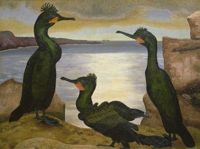 Cormorani da Cedric Morris