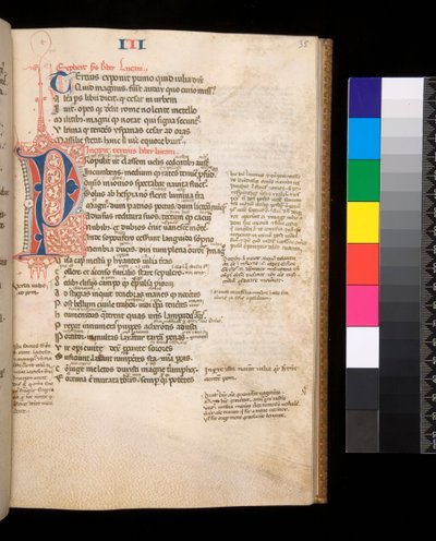 Ms 325. Lucano, Bellum Civile, e altre opere, f.35r. Iniziale divisa [P] in rosso e blu con fioritura a penna contrastante, c.1353 da Central Italian School