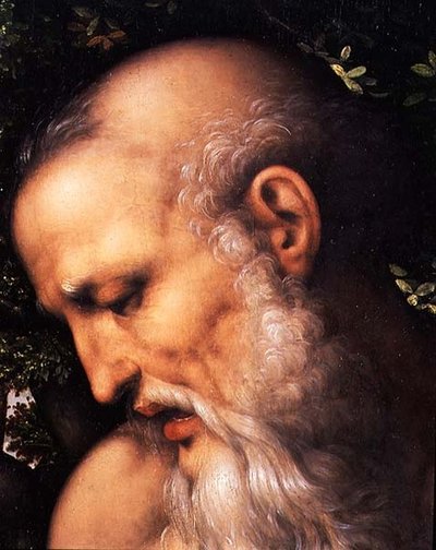 San Girolamo, dettaglio della testa del santo (dettaglio) da Cesare da Sesto