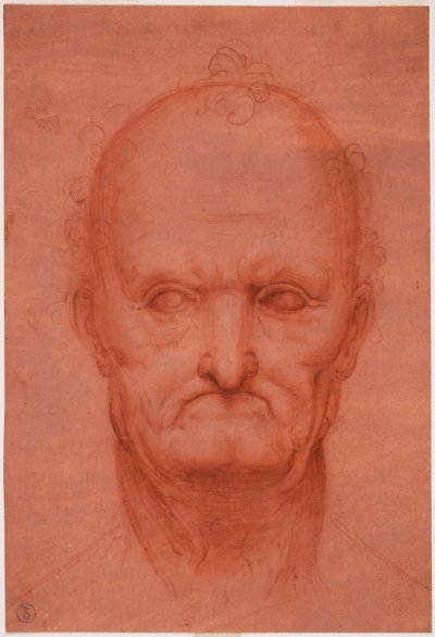 Testa di vecchio, c. 1515 da Cesare da attr.to Sesto