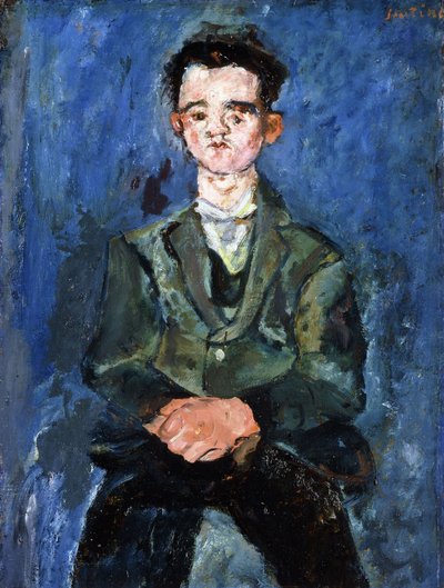 Ritratto di un ragazzo in blu, 1928 da Chaim Soutine