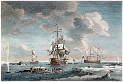 Pesca in Groenlandia, incisione di John Boydell (1719-1804) 1754 (incisione a colori) da Charles (after) Brooking