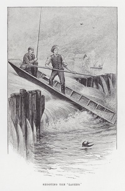 Pesca: Sparare al 