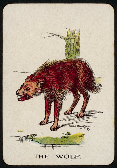 Il lupo da Charles A. Buchel