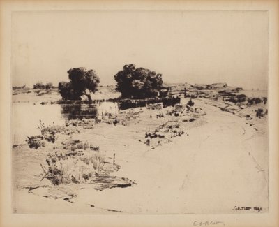 Salici di Cape Ann da Charles A. Platt