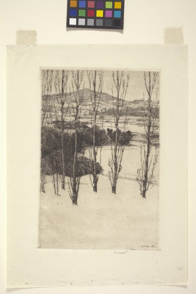 La montagna da Charles Adams Platt