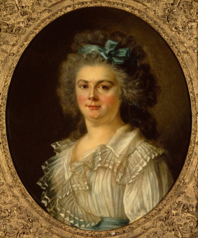 Ritratto di una signora da Charles Amedee Philippe van Loo