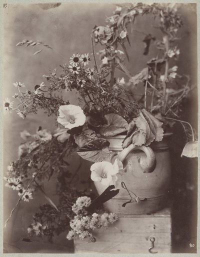 Studio di fiori con vaso di Colonia su cassa da Charles Aubry (manner of)