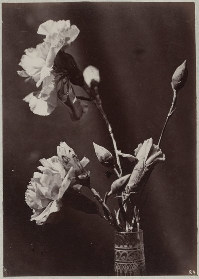 Studio di fiori con vaso di vetro da Charles Aubry (manner of)