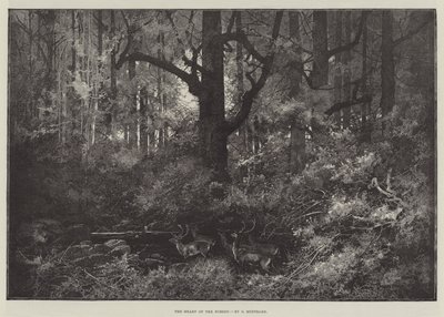 Il cuore della foresta da Charles Auguste Loye