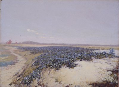 Dune coperte di fiori (olio su tela) da Charles Augustus Lasar