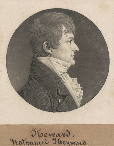 Chapman Johnson da Charles B. J. Févret de Saint Mémin