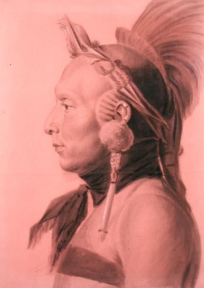 Ritratto di un indiano, possibilmente Shahaka, capo Mandan da Charles Balthazar Julien Févret de Saint Mémin