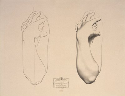 Braccio piegato di una donna, tavola 22 da Cours de Dessin Volume I, Modelli dal rilievo, c.1868 da Charles Bargue