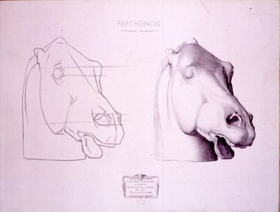 Testa di cavallo dal frontone occidentale del Partenone, tavola 47 da Cours de Dessin, c.1898 da Charles Bargue
