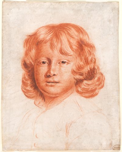 Ritratto di un ragazzo da Charles Beale