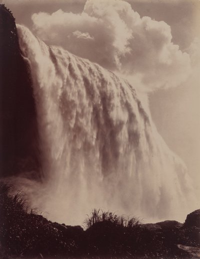 Cascate del Niagara da Charles Bierstadt