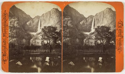 Senza titolo, 1863-1903 da Charles Bierstadt