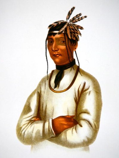 Caatousee della tribù Chippewa (litografia a colori) da Charles Bird King