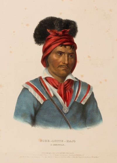 FOKE-LUSTE-HAJO. A SEMINOLE., da Storia delle Tribù Indiane del Nord America da Charles Bird King