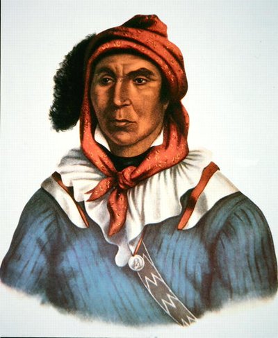 Julcee Mathla da Charles Bird King