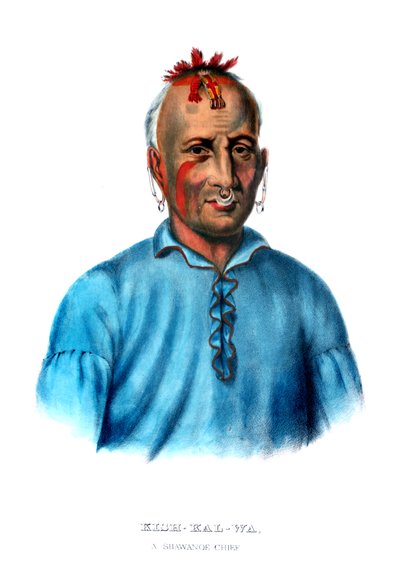 Kishkalwa, un capo Shawnee da Charles Bird King