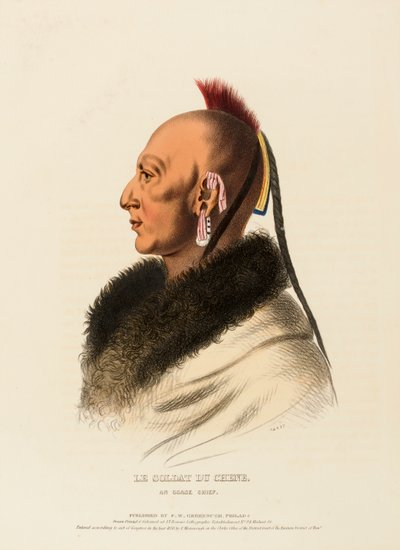 LE SOLDAT DU CHENE, UN CAPO OSAGE, da Storia delle tribù indiane del Nord America da Charles Bird King