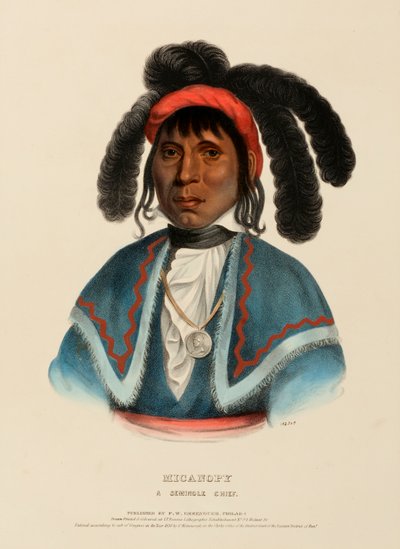 MICANOPY. UN CAPO SEMINOLE, da Storia delle Tribù Indiane del Nord America da Charles Bird King