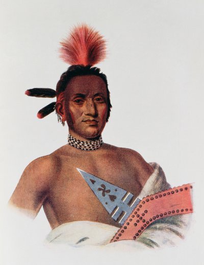 Moa-Na-Hon-Ga o 