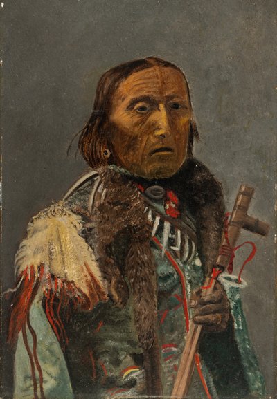 Nativo americano con pipa della pace (olio su cartone) da Charles Bird King