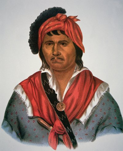 Capo Neamathla da Charles Bird King